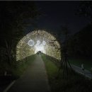 양재천 수변무대2 이미지