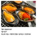 거제도 자연산섭 (홍합 담치) 한정 이미지