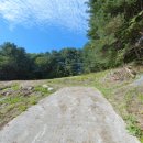 가평장용숙공인중개사사무소 이미지