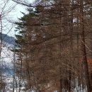 백2리마을회관 이미지