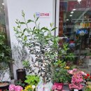 올리브내과의원 이미지