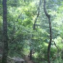 지리산추성민박 이미지