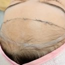 위브플래닝 이미지