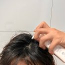 스프링헤어 | 염색 후 예민해진 두피를 위한 헤어토닉 헤넬 더 스프링 헤어 토닉 후기