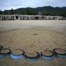 창촌초 운두분교장 이미지