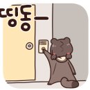 에쓰디