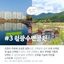도원게이트볼장 이미지