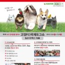 동물사랑연합회 이미지