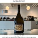 제이씨스 이미지