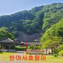 24년 5월30일 백화산 / 월류봉둘레길(충북 영동) 산행안내입니다. 이미지