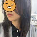 경산미용실추천 ,중산동미용실추천 '에스비헤어' 후기 !
