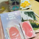 마이텐 | 쓰기 아까운 다꾸 스티커의 성지 파스텔서울 세일! 득템 찬스 놓치기 전에 스티커 털러 달려가 봅시다...