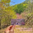 두메농장 이미지