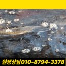 순창건강원