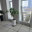 김해시청 제2청사 이미지