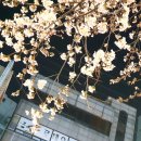 그루몽실 이미지