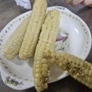 승리미용재료 | 2025.08.05 ~ 07 머니로그, 민생 어쩌구로 행복한 여름