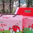지그미선물