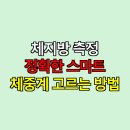 영점팔그램 | 체지방 측정 정확한 스마트 체중계 고르는 방법
