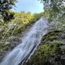 11월9일 정기산행 안내 Mount Dickerman, Teneriffe Falls via Mt. Teneriffe Trail 이미지