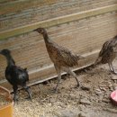 여름농장 이미지