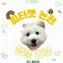 피터펫 | [논현 애견카페] 피터펫 논현 방문 후기 주차·가격·포토존까지 총정리