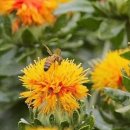 탑리농장 이미지