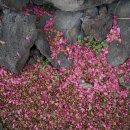 위미2리 마을회관 이미지