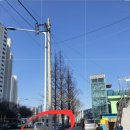 푸른잎한의원 이미지