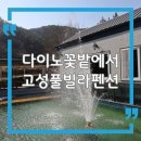 상족암뷰펜션