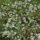 지에스25울산장생포점 이미지