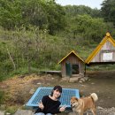 [BEHIND THE SCENES] PARK SO DAM x HUH YOUNG MAN's FOOD TRAVEL 이미지