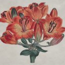 감성 일러스트 수채화 이미지