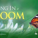 홍천산양목장 이미지