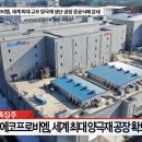 파라다이스에프앤씨