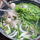 샘마을2길 40-3 | 지금이 쭈꾸미 제철, 서울 생쭈꾸미 알쭈꾸미 맛집 마포 소문난쭈꾸미 솔직 후기