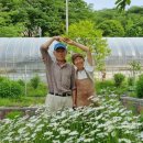 화순허브뜨락 이미지