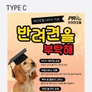 알콩달콩 애견샵 이미지