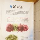 성북동과메기 이미지