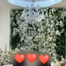 바실리 | 성남더바실리움 하객으로 다녀온 후기(리모델링 후)