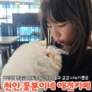 [천안애견카페]꽃분이네 애견카페:강아지 들과 찐교감 나누기🐶❤️