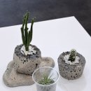 대구 도우아트 원데이클래스 마이온공방 나만의 발포세라믹 화분 만들기