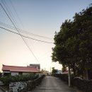 나무이야기민박 이미지