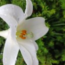 칠포농장 이미지