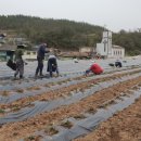 영양군농업기술센터 이미지