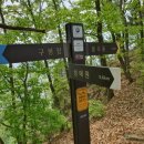 봉곡동008 이미지