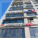 하늘보리밥 이미지