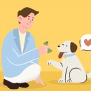 서교동물병원 이미지