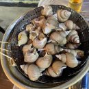 대전 괴정동맛집 &#34;바다통골뱅이&#34; #내돈내산