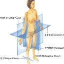 에스테틱 쏠(esthetic SOLE) 네이버블로그
